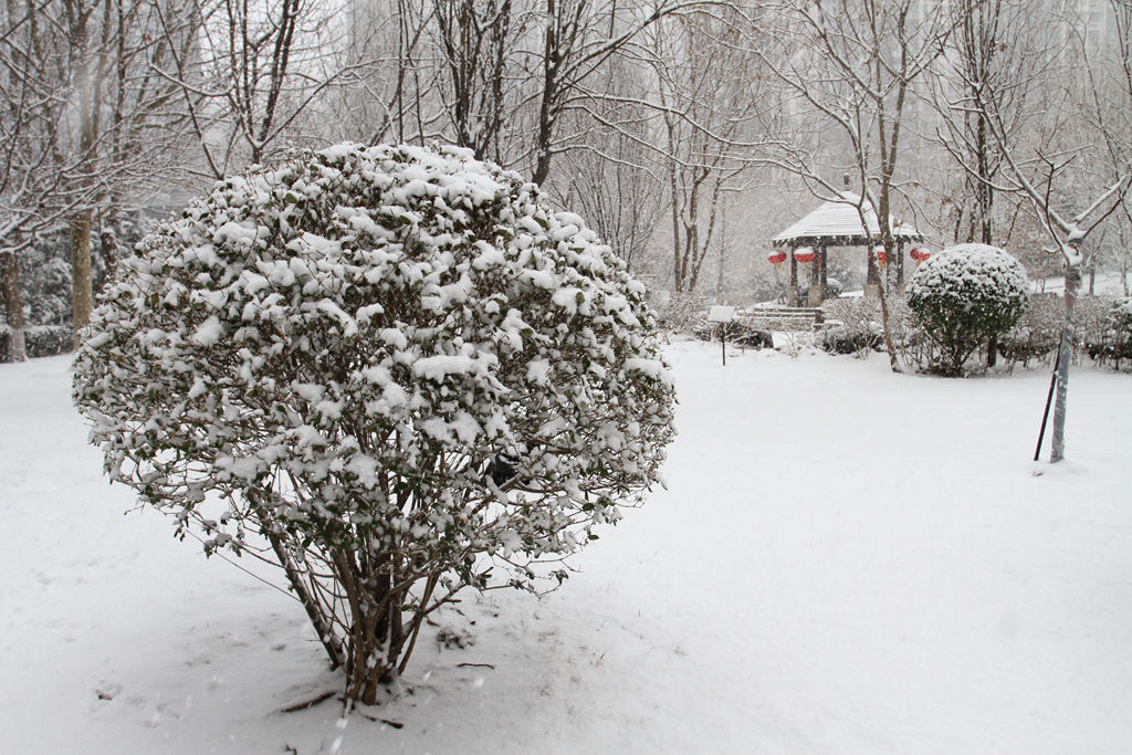 京城雪 摄影 寒心