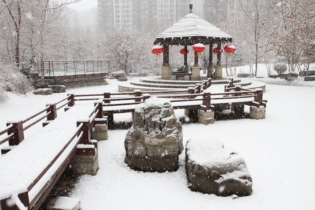 春雪 摄影 寒心