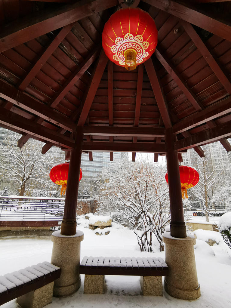 春雪 摄影 寒心