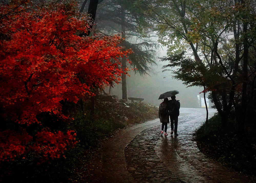 情深深.雨蒙蒙 摄影 先之平