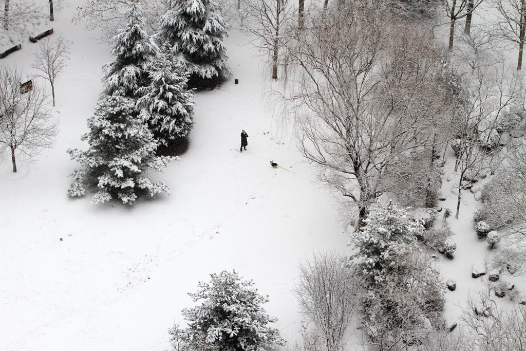 春雪 摄影 寒心