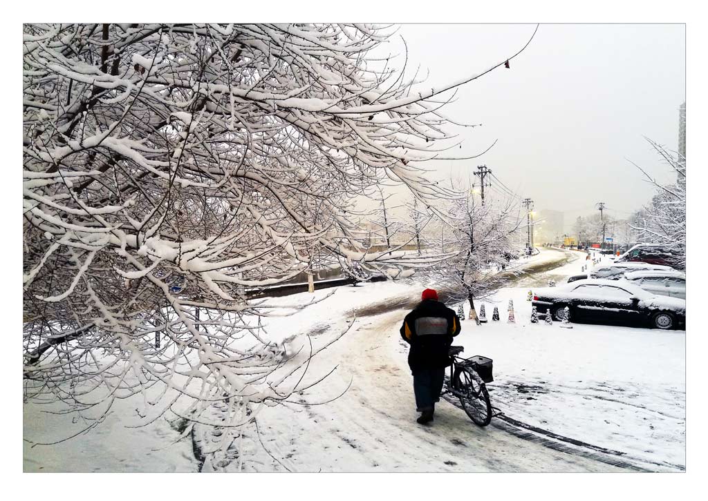 雪后随拍3 摄影 辣椒炒饭2018