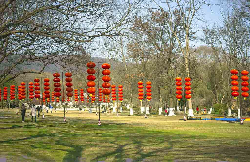 梅花报春 摄影 lingsu