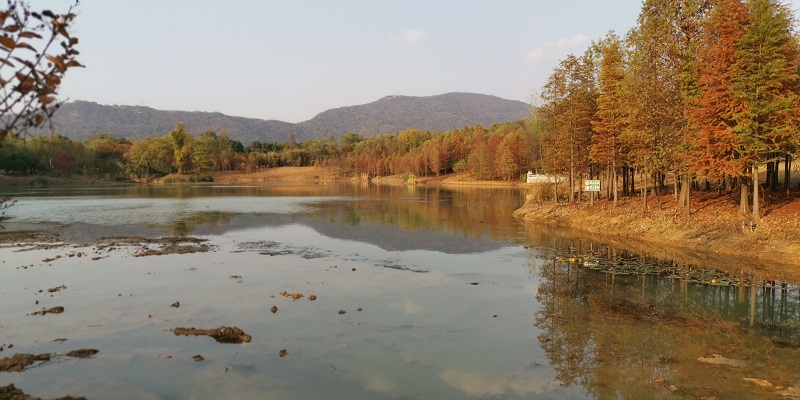 中山陵外景 摄影 fanmin