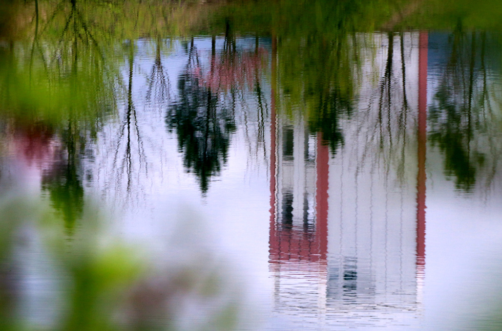 春天在那溪水里 摄影 徐徐清风