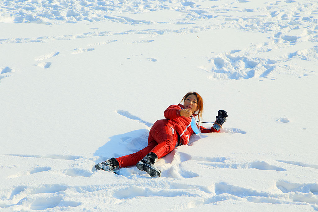 大雪后记忆 摄影 jsrh2014