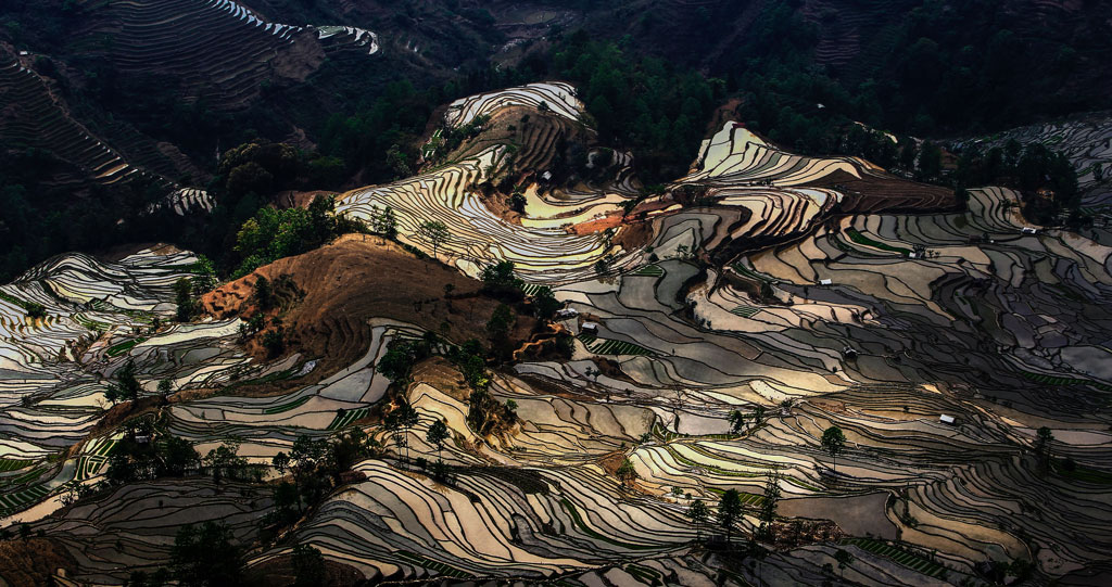 梯田 摄影 yangmingxian