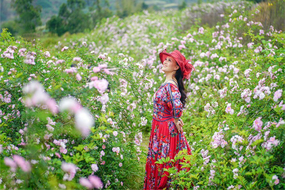 走进花海 摄影 留恋