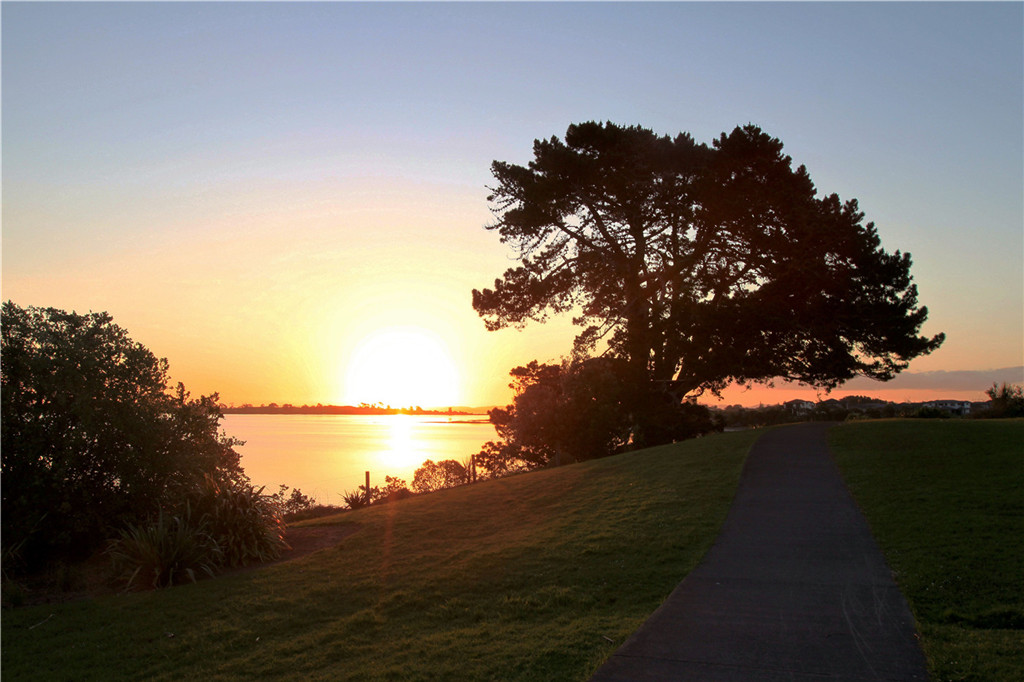 新西兰海滨夕阳风光 摄影 飞鹰998