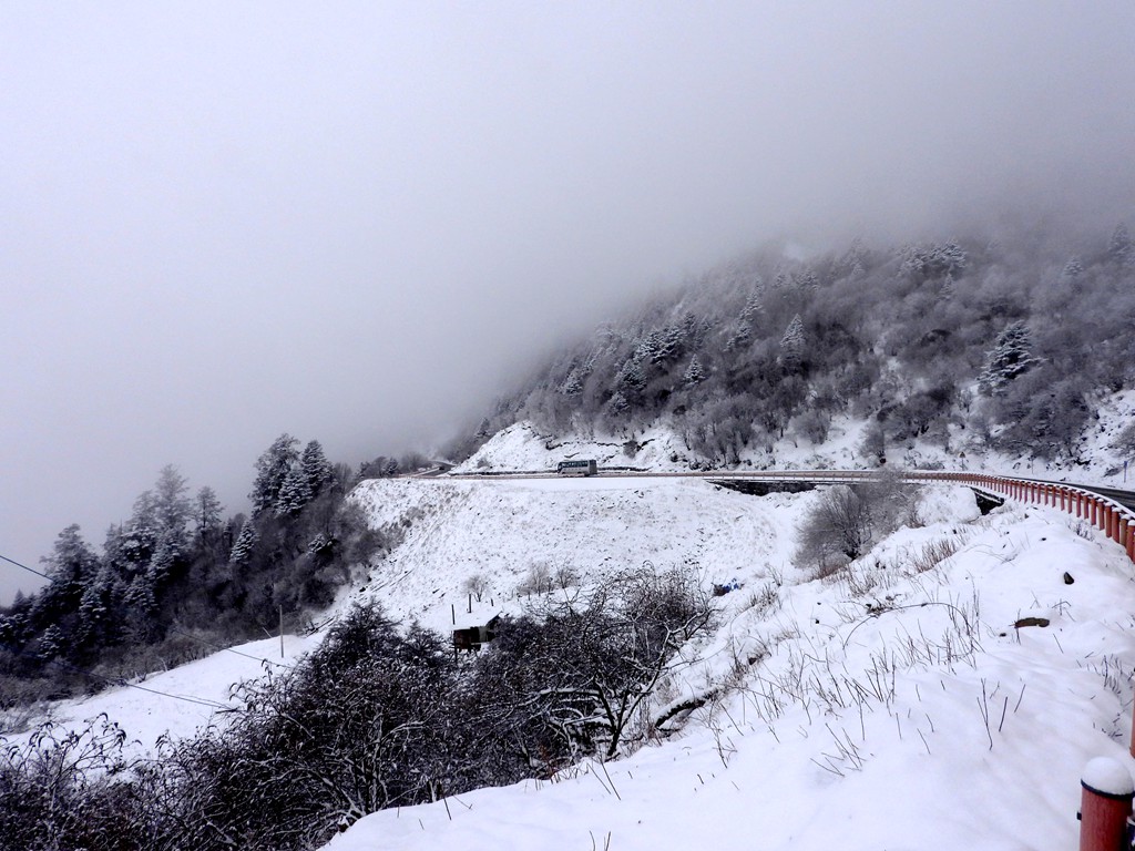 阿坝的春雪 摄影 mitaka