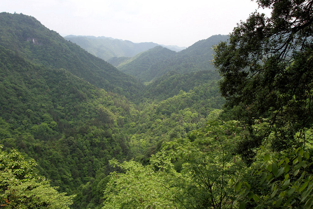 怀化黄岩大峡谷 3 摄影 寒心