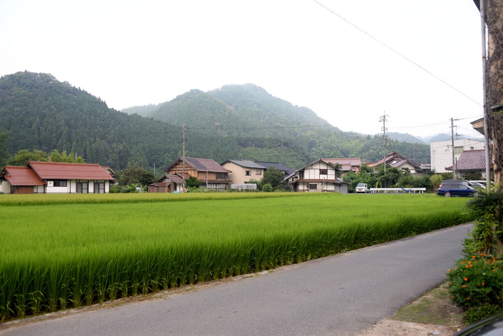 家边的风景-3 摄影 mitaka