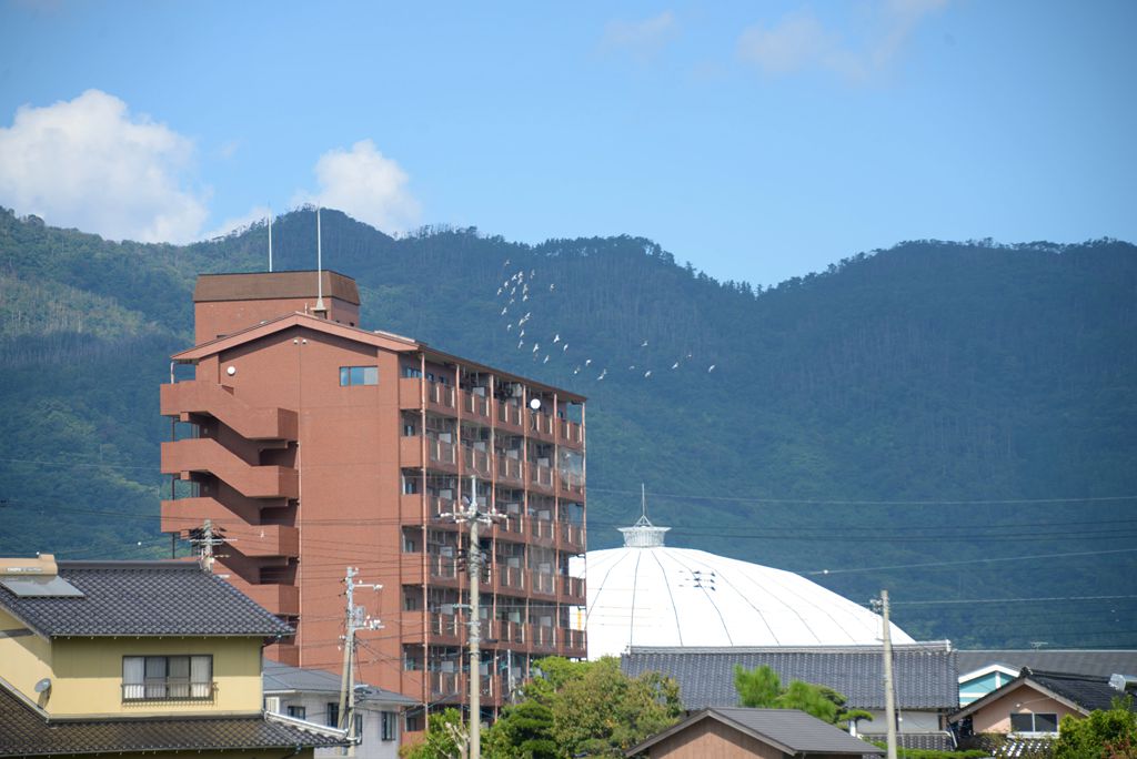 家边的风景-6 摄影 mitaka