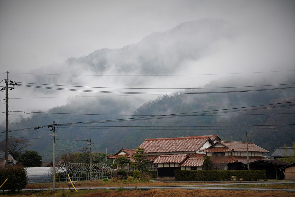 家边的风景-21 摄影 mitaka