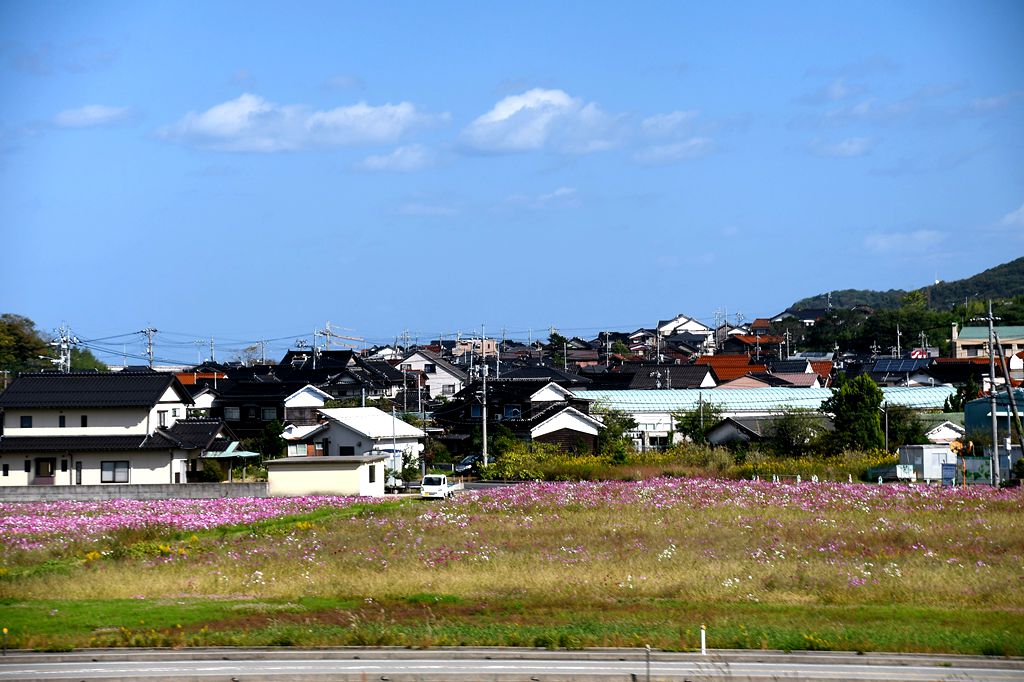 家边的风景-30 摄影 mitaka