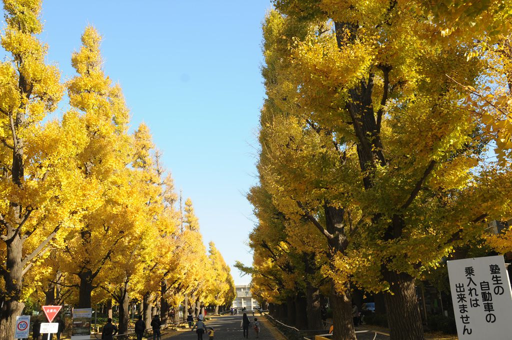 家边的风景-75 摄影 mitaka