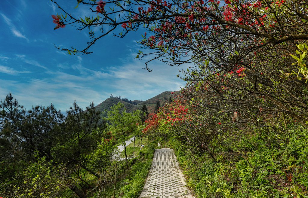 龙泉山-5 摄影 风一样凉爽