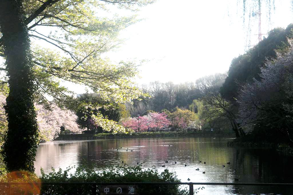 家边的风景-87 摄影 mitaka