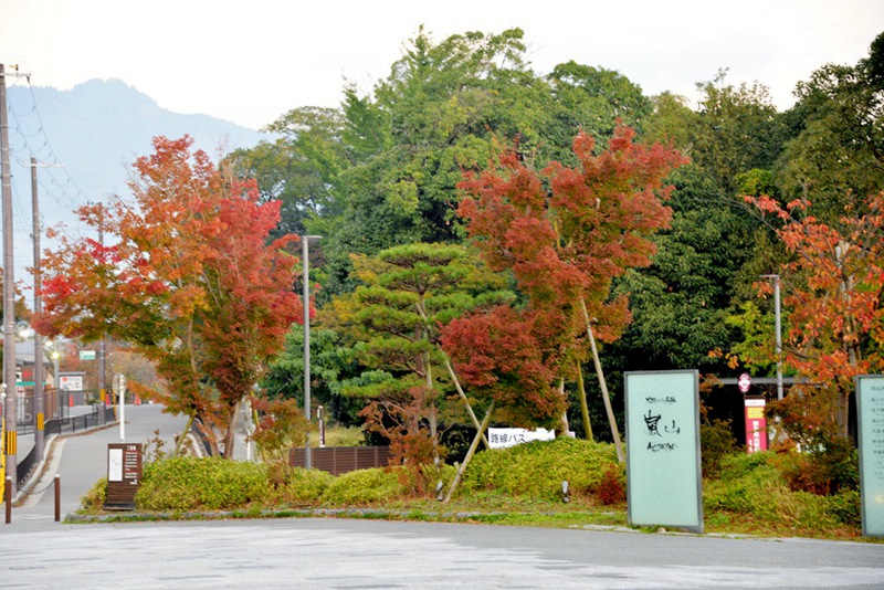 家边的风景-106 摄影 mitaka