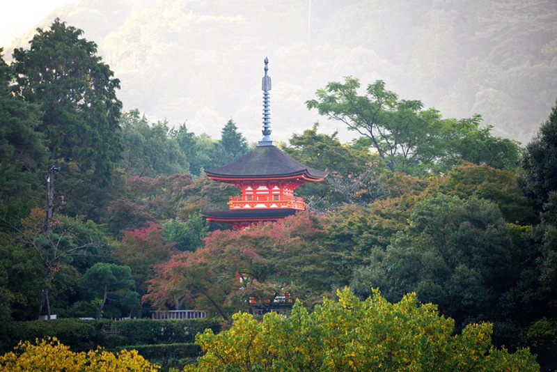 家边的风景-116 摄影 mitaka