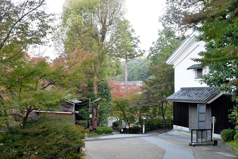 家边的风景-118 摄影 mitaka