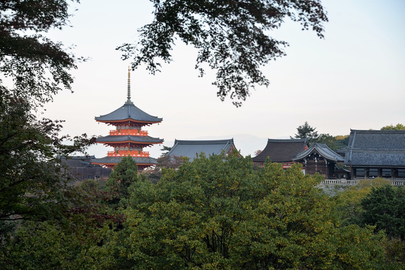 家边的风景-120 摄影 mitaka