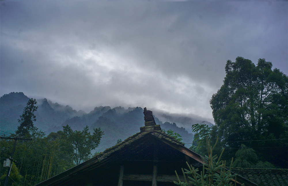 山雨 摄影 留恋