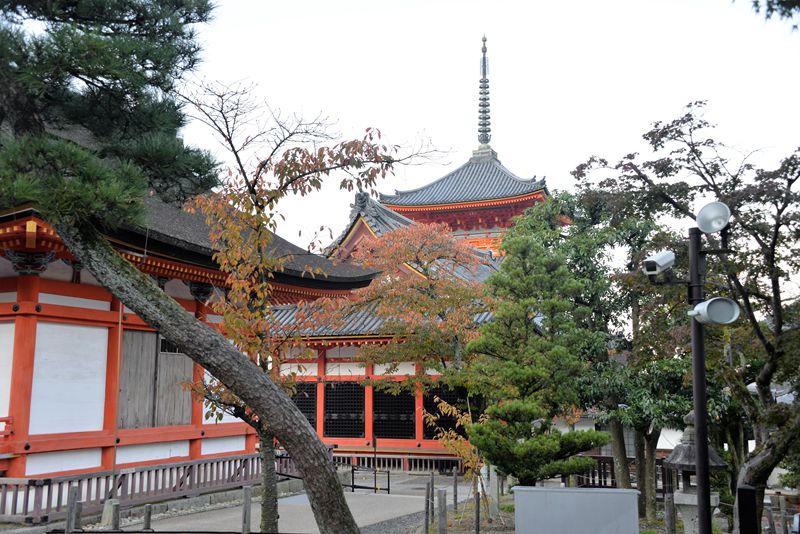 家边的风景-125 摄影 mitaka