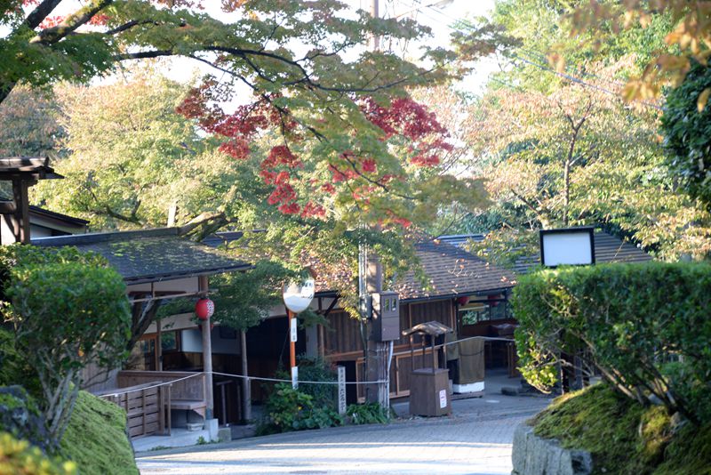 家边的风景-128 摄影 mitaka