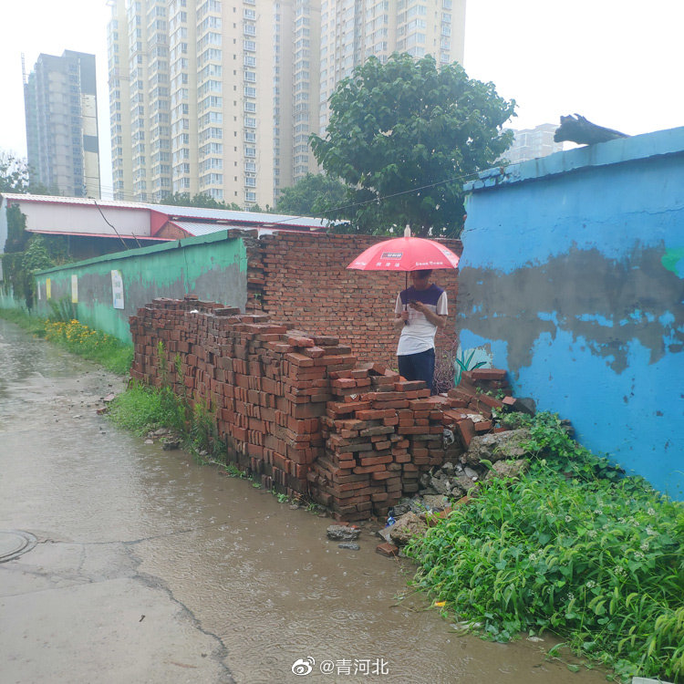 《雨中的花折伞》2020-08-06 摄影 青河北