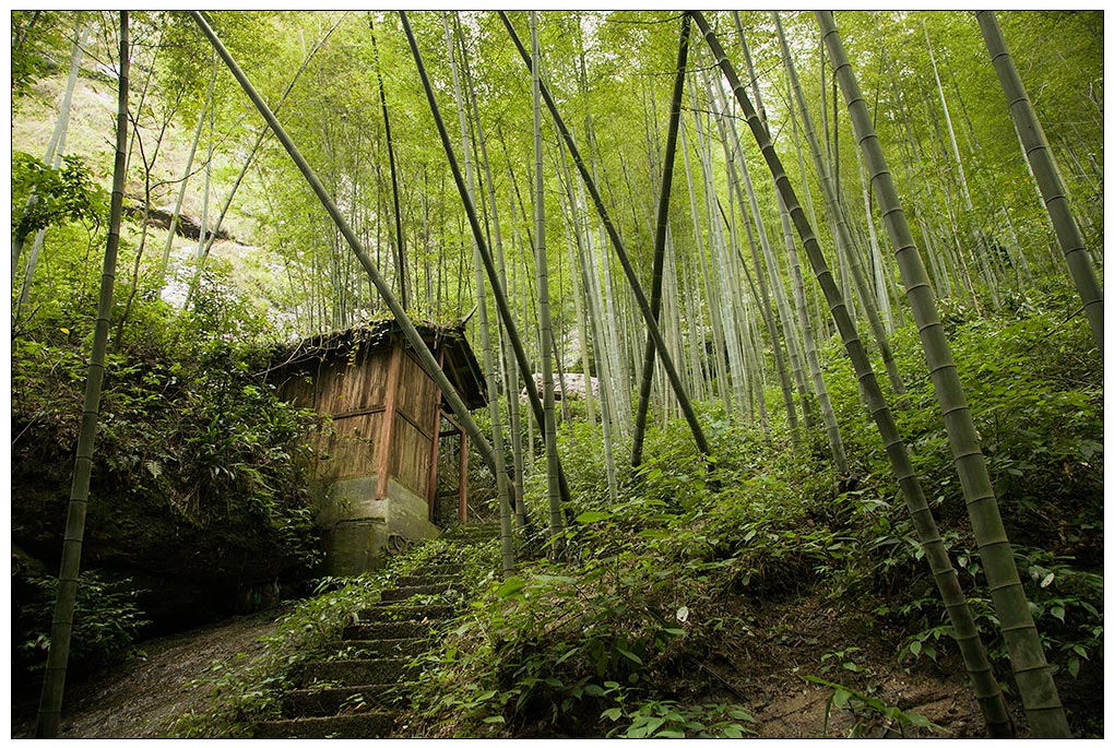 崀山“天一巷”景区（湘西南游091） 摄影 尹成