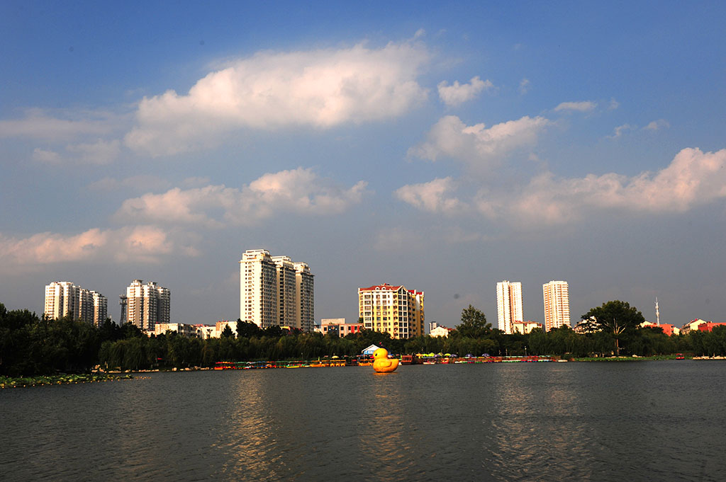 夏日南池 摄影 大巴板人