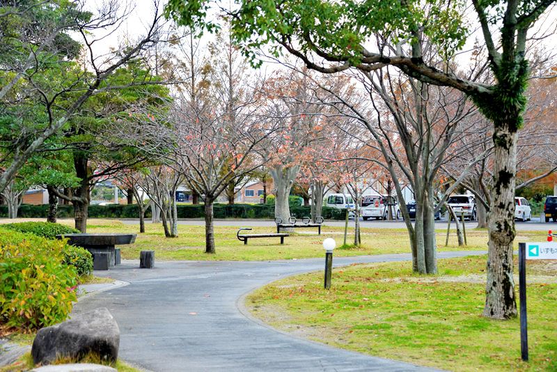 家边的风景-153 摄影 mitaka