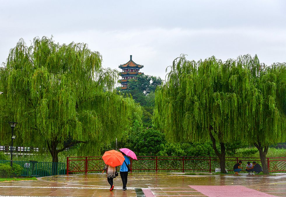 李村公园风光 摄影 琴岛视界0532