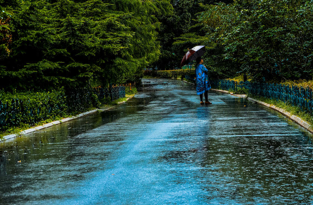 青岛夏日的雨中随拍 摄影 qdzp