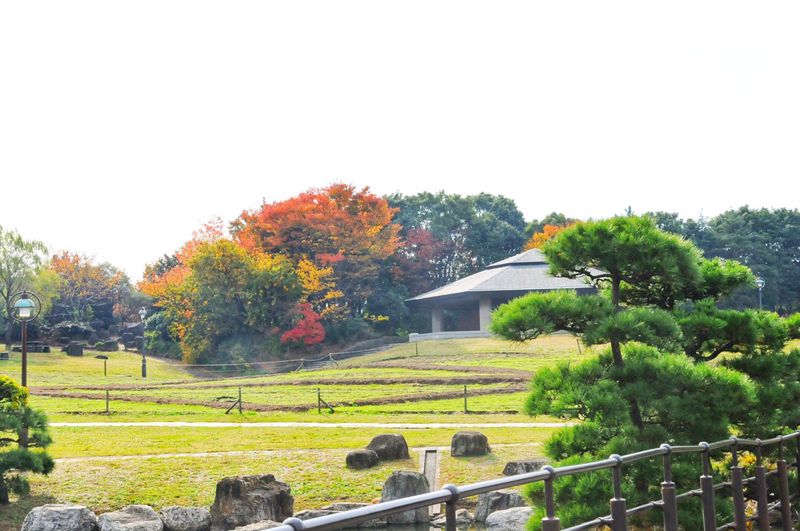 家边的风景-175 摄影 mitaka