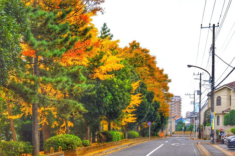 家边的风景-174 摄影 mitaka