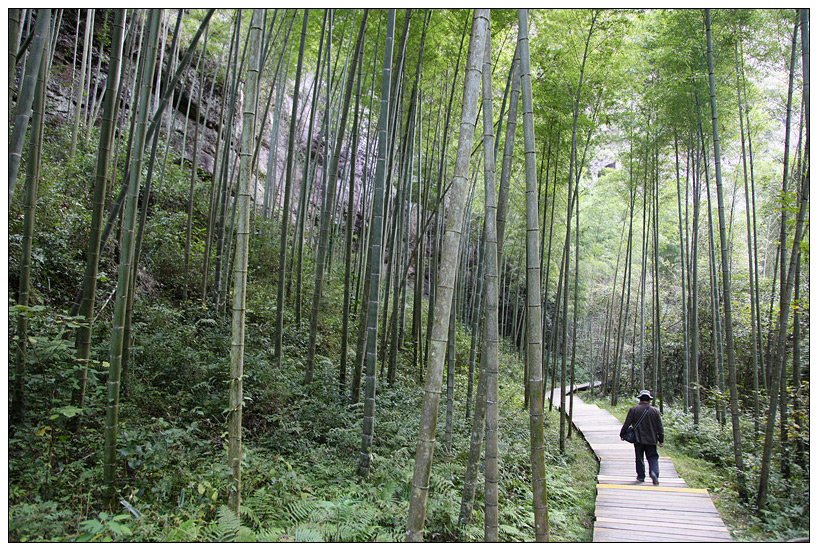 寨下大峡谷景区（泰宁风物44） 摄影 尹成