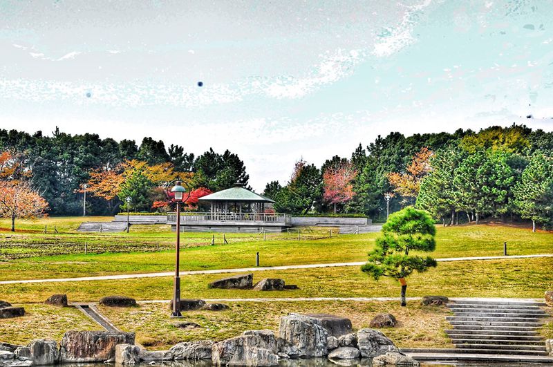 家边的风景-189 摄影 mitaka