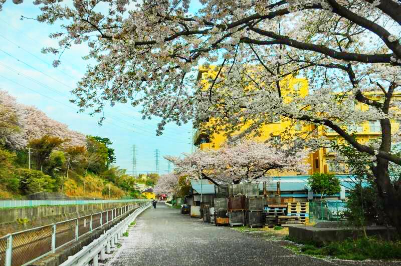 家边的风景-201 摄影 mitaka