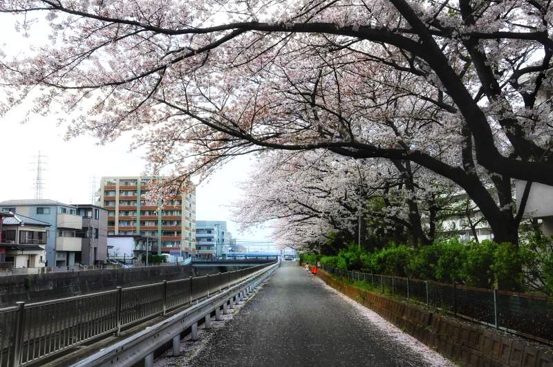 家边的风景-203 摄影 mitaka