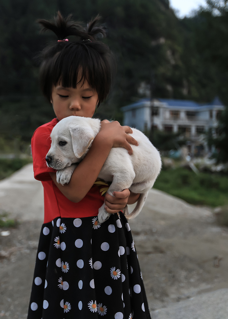 山里娃的爱犬 摄影 天上来