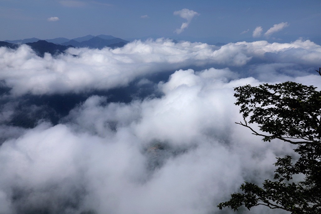 秦岭龙头山12 摄影 青松流水