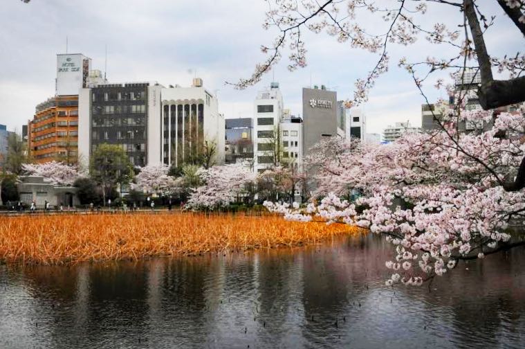 家边的风景-220 摄影 mitaka