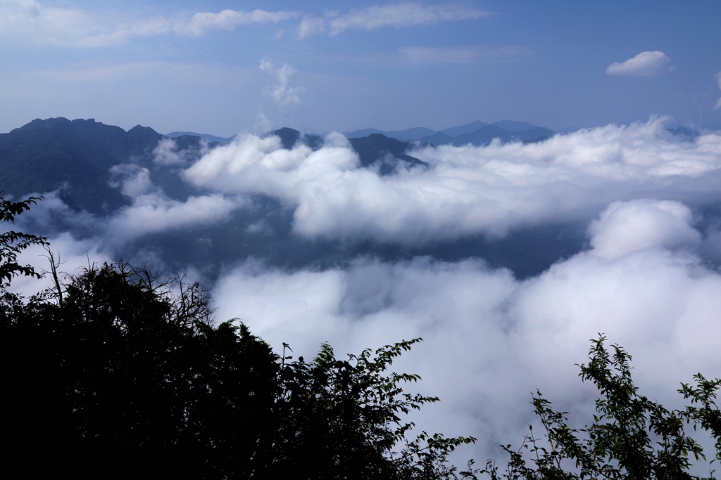 秦岭龙头山14 摄影 青松流水