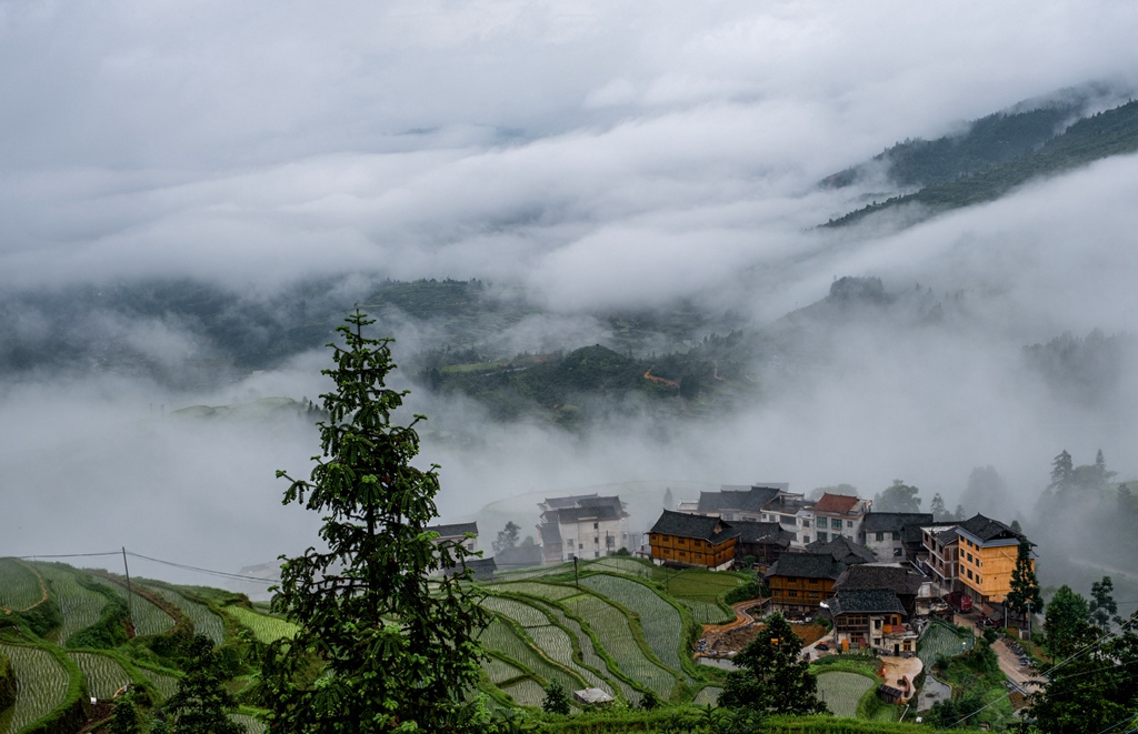 黎平县-3堂安梯田 摄影 风一样凉爽