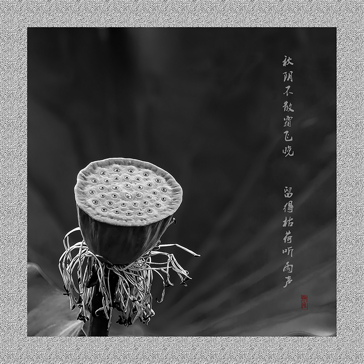 无题 摄影 瓶底