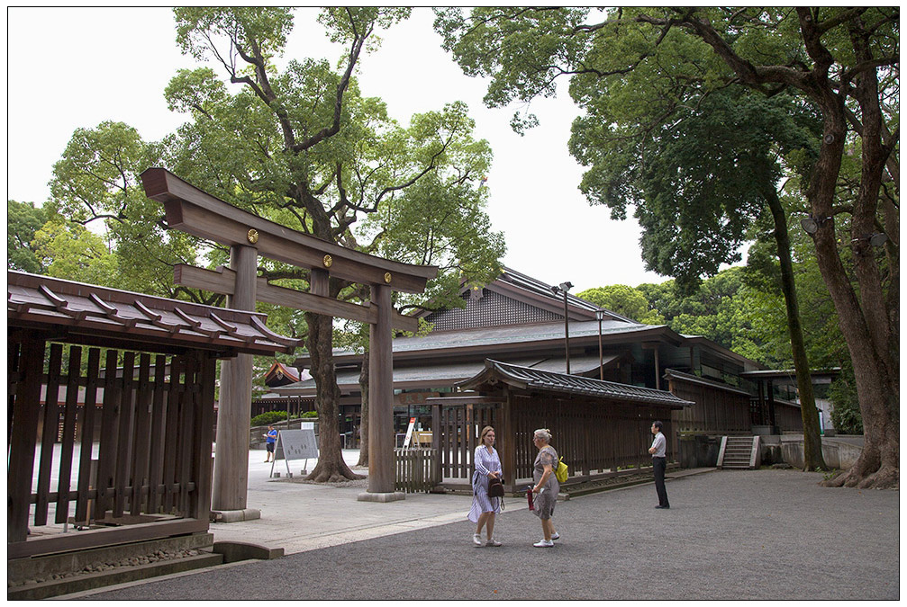 东京明治神社（东瀛邮轮行037） 摄影 尹成