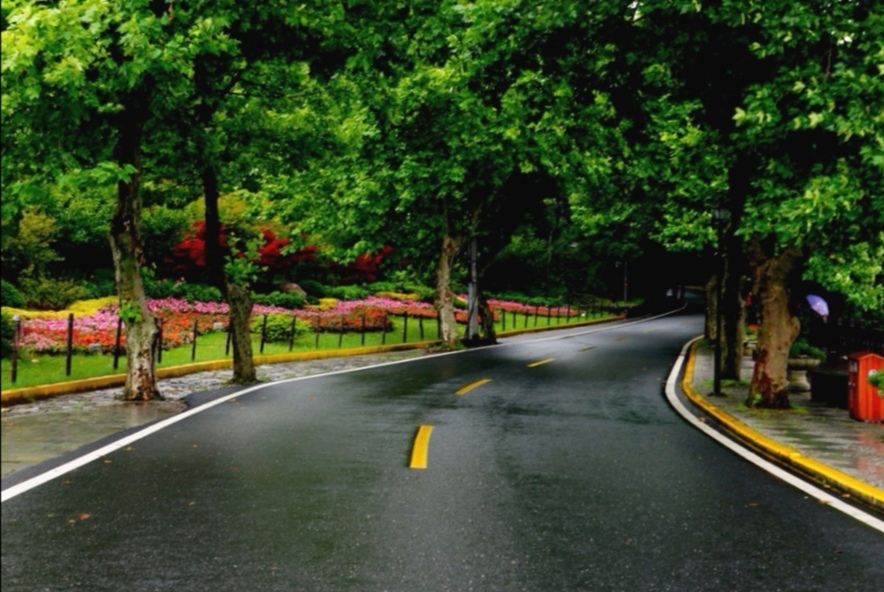 花路诗雨 摄影 夜雨秋灯