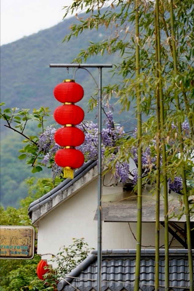 农家乐 摄影 夜雨秋灯